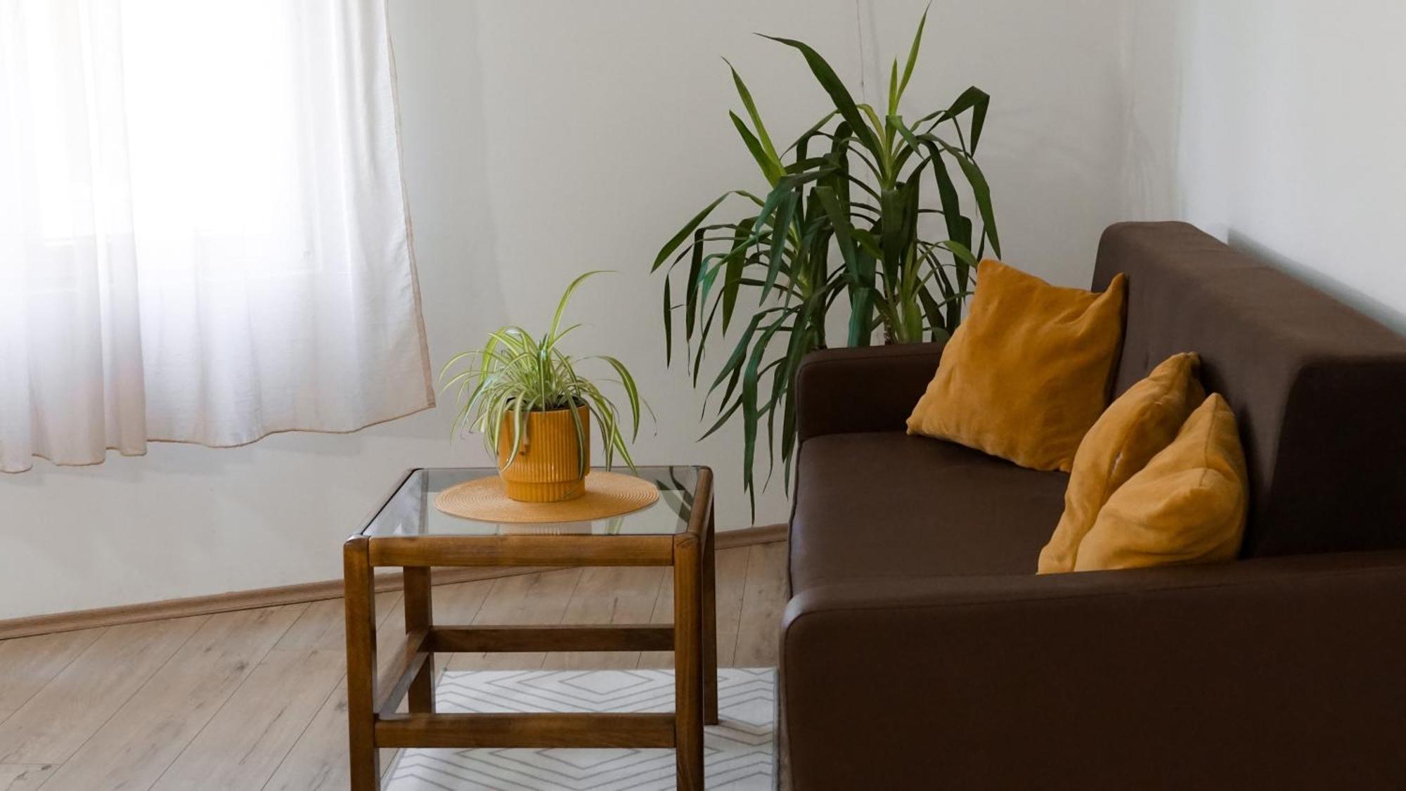 Apartmani Bubamara Leskovac Leskovac  Extérieur photo